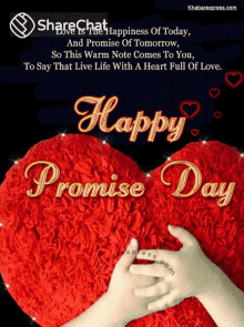 Happy Promise Day हैप्पीप्रॉमिसडे GIF - Happy Promise Day हैप्पीप्रॉमिसडे वचन GIFs