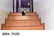 mob alex