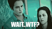 Wtf GIF - What The Fuck Wtf Wait GIFs