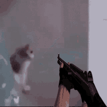 Cat With No Legs Scared Cat GIF - Cat With No Legs Scared Cat Cat Gun GIFs