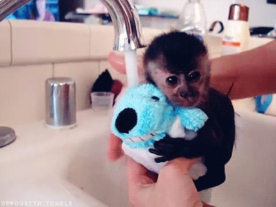 Bath Time Cuteoftheday Gif Monkey Baby Cute Discover Share Gifs