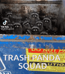 trashpanda lionfield raccoon trash panda squad