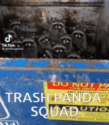 panda squad