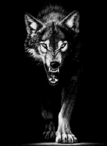 Lobo Wolf GIF - Lobo Wolf Angry GIFs