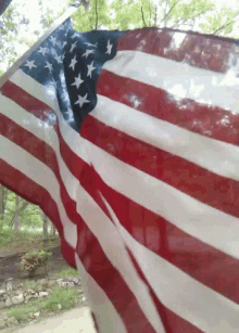 Usa Flag GIF - Usa Flag GIFs
