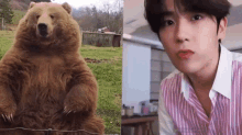Hyunjaebear Bearboy GIF - Hyunjaebear Hyunjae Bearboy GIFs