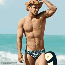 male sexy gunter swimming dripping male sexy gunter swimming dripping