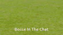 Bocce Booce In The Chat GIF - Bocce Booce In The Chat GIFs