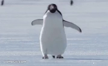 penguin-omw.gif