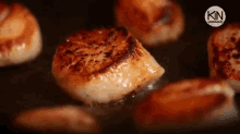 Scallops GIF - Seafood Scallops Dinner GIFs