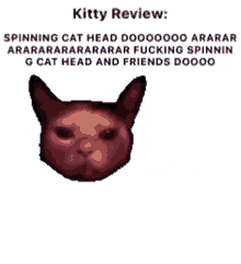 kitty review