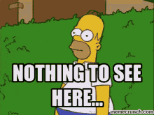 The Simpsons Homer Simpson GIF - The Simpsons Homer Simpson Nothing To See Here GIFs
