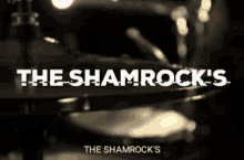 the shamrocks