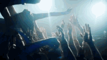 Party Partying GIF - Party Partying Crowd Surfing GIFs