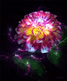 magical flower pupple flower glittering flower