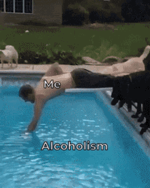 Dogs Alcohol GIF - Dogs Alcohol Friends GIFs