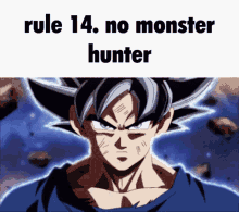 Rule14 No Monster Hunter GIF - Rule14 No Monster Hunter Bruv Rules GIFs