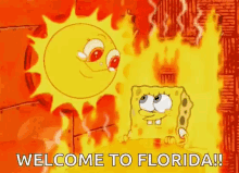 Sun Spongebob GIF - Sun Spongebob Welcome To Florida GIFs