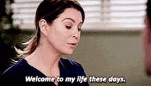 Greys Anatomy Meredith Grey GIF - Greys Anatomy Meredith Grey Welcome To My Life These Days GIFs
