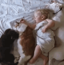 Baby The Pet Collective GIF - Baby The Pet Collective Sleeping GIFs