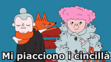 chincilla rodent animals