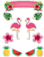 Flamingos Sticker - Flamingos Stickers