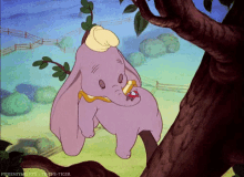 Dumbo Elephant GIF - Dumbo Elephant Sleeping GIFs