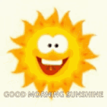 Sunshine Good Morning GIF - Sunshine Good Morning Greeting GIFs
