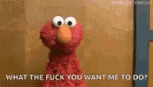 Elmo Shrug GIF - Elmo Shrug What Do You Want Me To Do GIFs