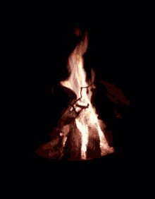 Campfire GIF - Campfire Fire GIFs