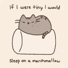 cute cat funny if i were tiny i will sleep on a marshmallow