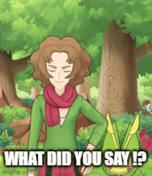 What Did You Say Pokemon Burgh GIF - What Did You Say Pokemon Burgh Gym Leader Burgh GIFs