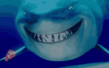Finding Nemo Marlin GIF - Finding Nemo Marlin Bruce GIFs