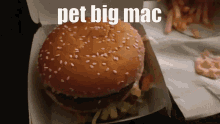 Pet Big Mac GIF - Pet Big Mac Petting GIFs