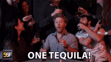 One Tequila Alcoholic Drink GIF - One Tequila Tequila Alcoholic Drink GIFs