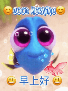 Good Morning Fish GIF - Good Morning Fish Dory GIFs