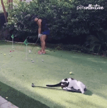 Golf The Pet Collective GIF - Golf The Pet Collective Swing GIFs