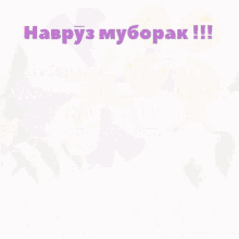 %D0%BC%D1%83%D0%B1%D0%BE%D1%80%D0%B0%D0%BA %D0%BD%D0%B0%D0%B2%D1%80%D3%AF%D0%B7%D0%BC%D1%83%D0%B1%D0%BE%D1%80%D0%B0%D0%BA