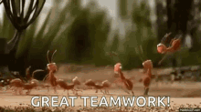 Great Team Work GIF - Great Team Work Ants GIFs