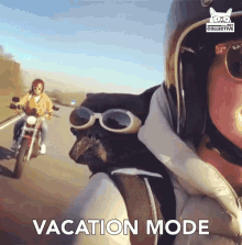 Vacation Mode Vacay GIF - Vacation Mode Vacay Road Trip GIFs