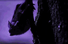 bat nature yawn