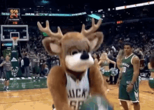 milwaukee bucks milwaukee bucks