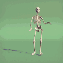 Dembones Skeleton GIF - Dembones Bones Skeleton GIFs