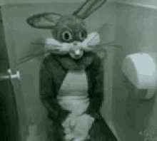 Bunny Toilet GIF - Bunny Toilet Here GIFs
