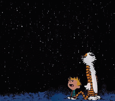 calvin-and-hobbes-universe.gif