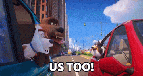 us-too-same.gif