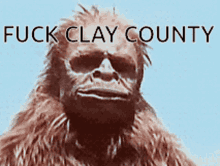 Clay County Ape GIF - Clay County Ape Angry GIFs