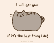 Meow I Will Get You GIF - Meow I Will Get You Spinning GIFs