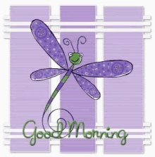 good morning greeting sparkle dragonfly good morning greeting sparkle dragonfly