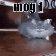 Mog Mog1 GIF - Mog Mog1 Rog GIFs
